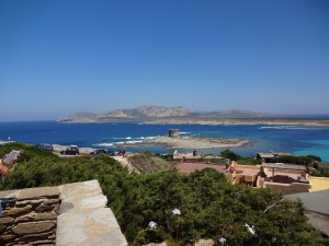 DSC02140