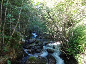 DSC01819