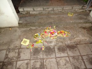 DSC03137