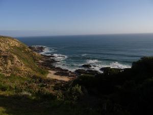 DSC02001