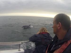 vlcsnap-2017-11-13-19h04m42s184